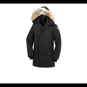 New Canada goose